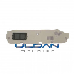 MODULO ALTOPARLANTE...