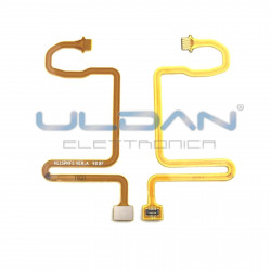 Flat tasto home fingerprint...