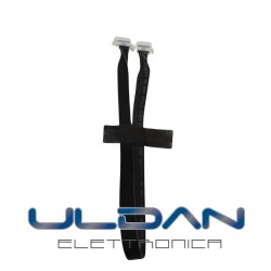 copy of Scheda di...