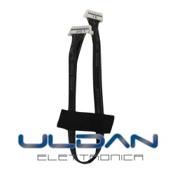 copy of Scheda di...