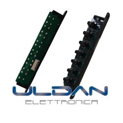 copy of Scheda di...